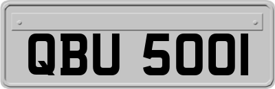 QBU5001