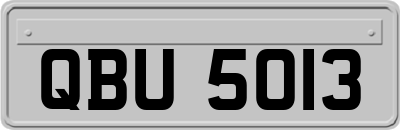 QBU5013