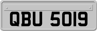 QBU5019