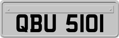 QBU5101