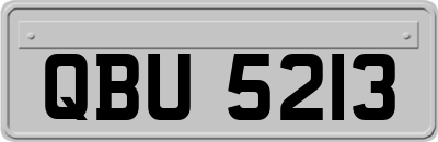 QBU5213