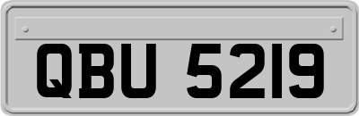 QBU5219