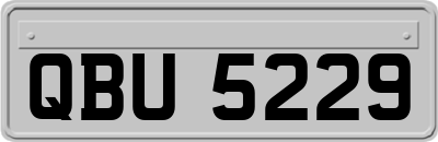 QBU5229