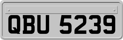 QBU5239