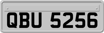 QBU5256