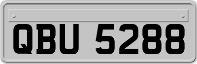 QBU5288