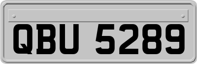 QBU5289