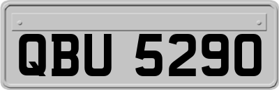 QBU5290