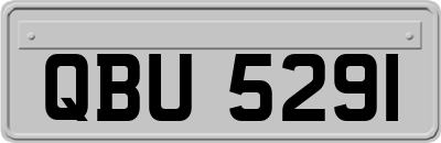 QBU5291