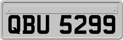QBU5299