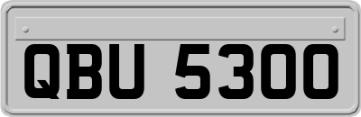 QBU5300