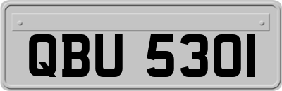 QBU5301