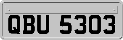 QBU5303