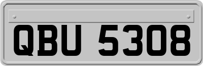 QBU5308