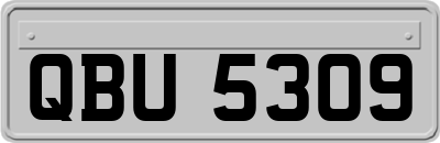 QBU5309