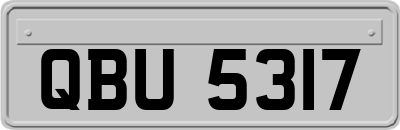 QBU5317