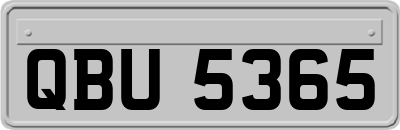 QBU5365