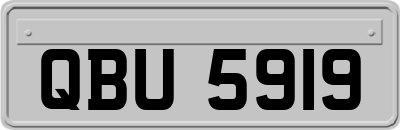 QBU5919