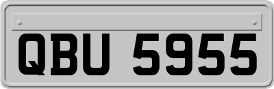 QBU5955