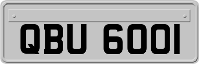 QBU6001