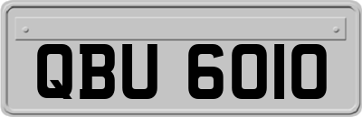 QBU6010