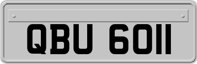 QBU6011
