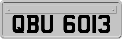 QBU6013