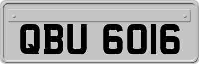 QBU6016