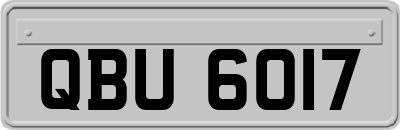 QBU6017