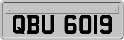QBU6019