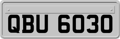 QBU6030