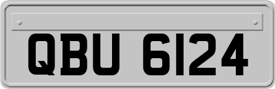 QBU6124