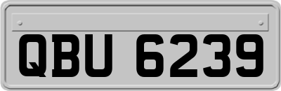 QBU6239