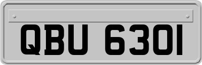 QBU6301