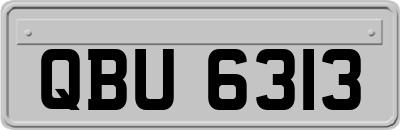 QBU6313