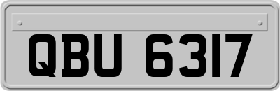 QBU6317