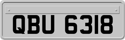 QBU6318