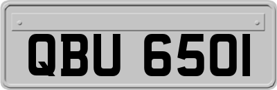 QBU6501
