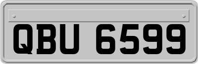 QBU6599