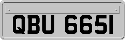 QBU6651