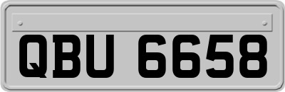 QBU6658