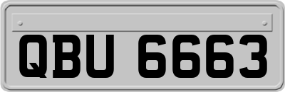 QBU6663
