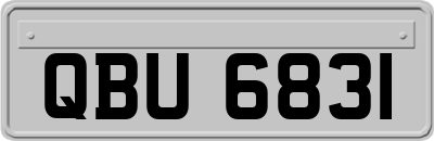 QBU6831