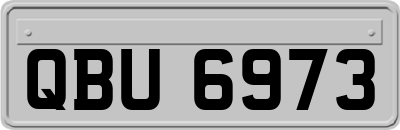 QBU6973