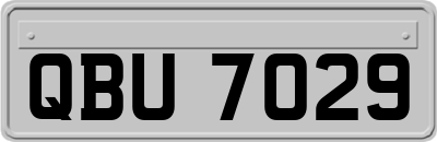 QBU7029