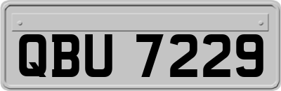 QBU7229