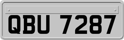 QBU7287