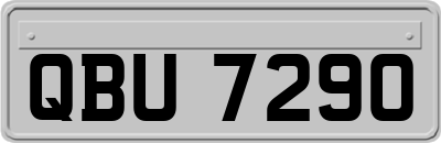 QBU7290