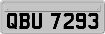 QBU7293