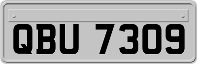 QBU7309